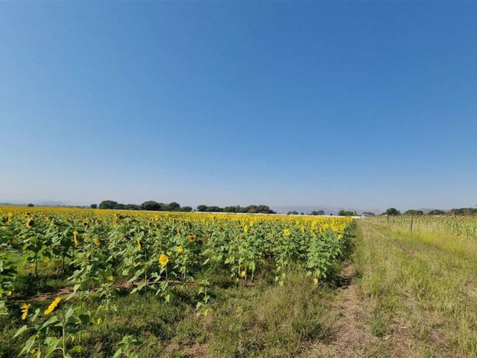 Land for Sale For Sale in Waterval East - MR552386