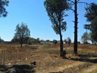  of property in Mapleton