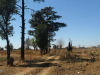  of property in Mapleton