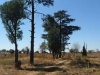  of property in Mapleton