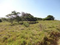  of property in Khamanga Bay