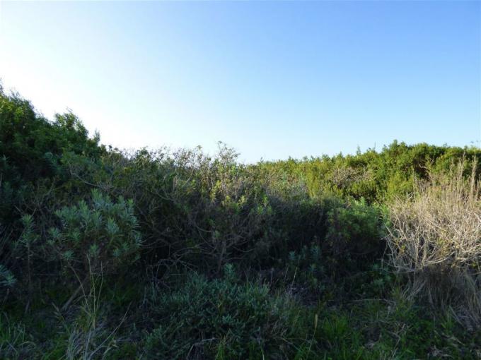 Land for Sale For Sale in Port Alfred - MR554468