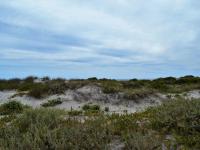  of property in Shelley Point
