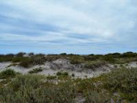  of property in Shelley Point