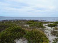  of property in Shelley Point