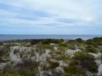  of property in Shelley Point