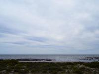  of property in Shelley Point