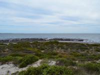  of property in Shelley Point