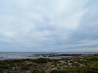  of property in Shelley Point