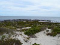  of property in Shelley Point