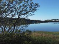 of property in Kleinemonde 
