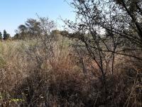  of property in Parys