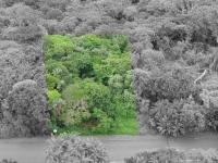 Land for Sale for sale in Kelso