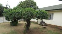 Backyard of property in Sasolburg