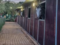 of property in Middelburg - MP