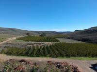  of property in Montagu