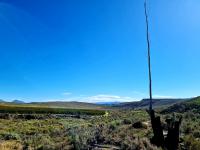  of property in Montagu