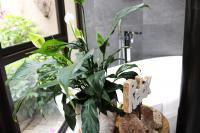  of property in Bendor