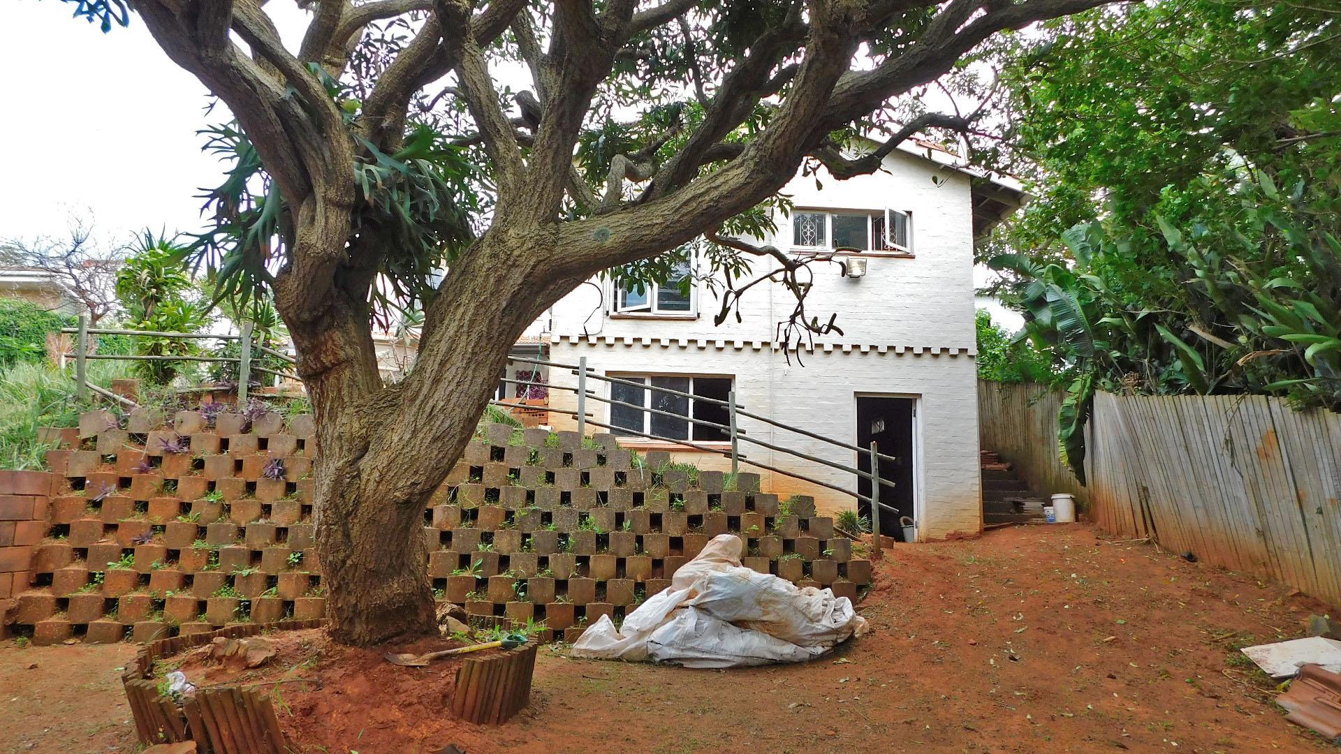 Backyard of property in Cato Manor 