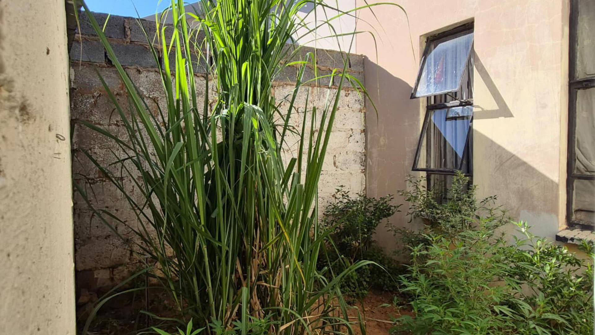 Backyard of property in Fleurhof