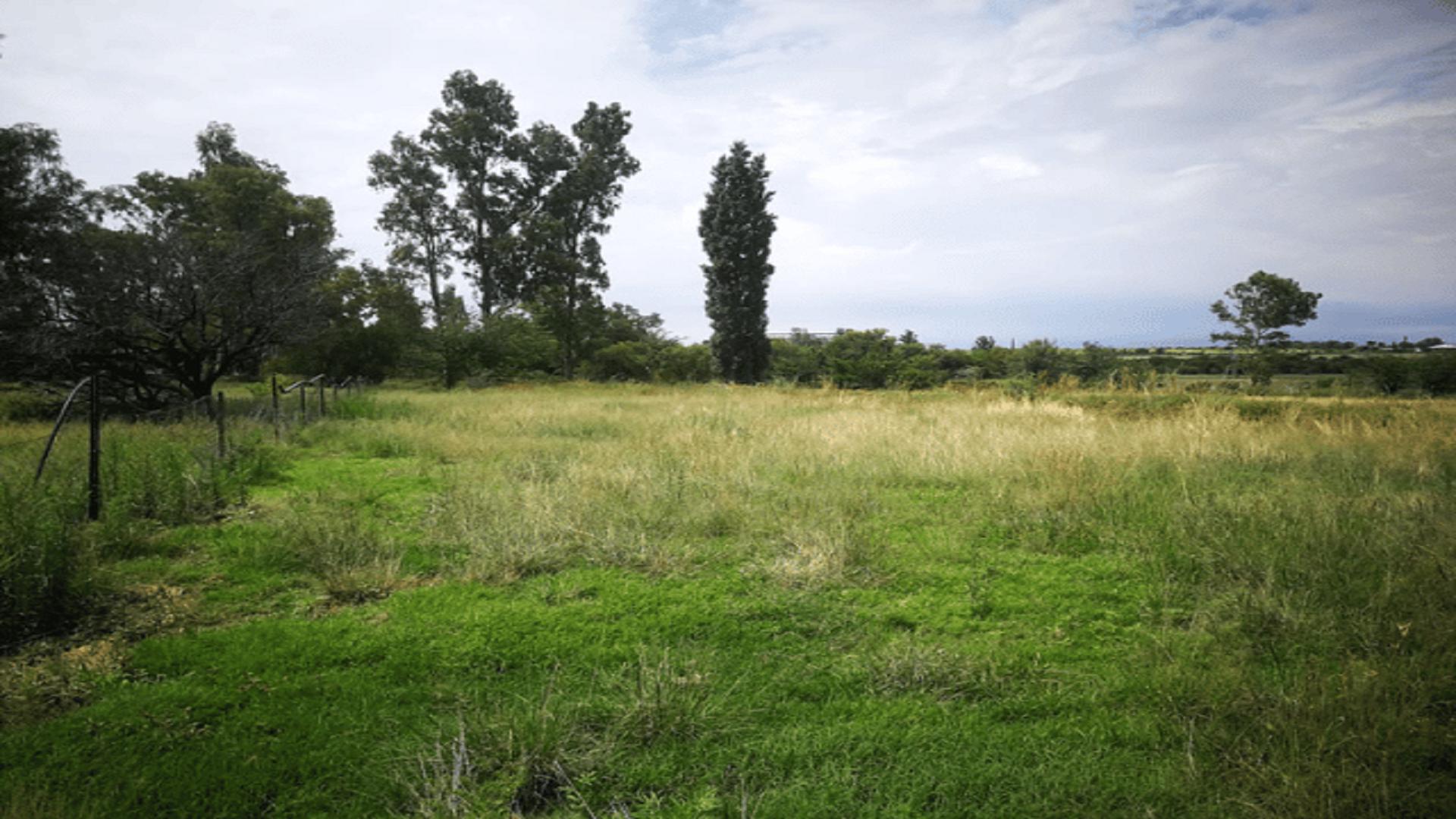 Spaces of property in Koppies