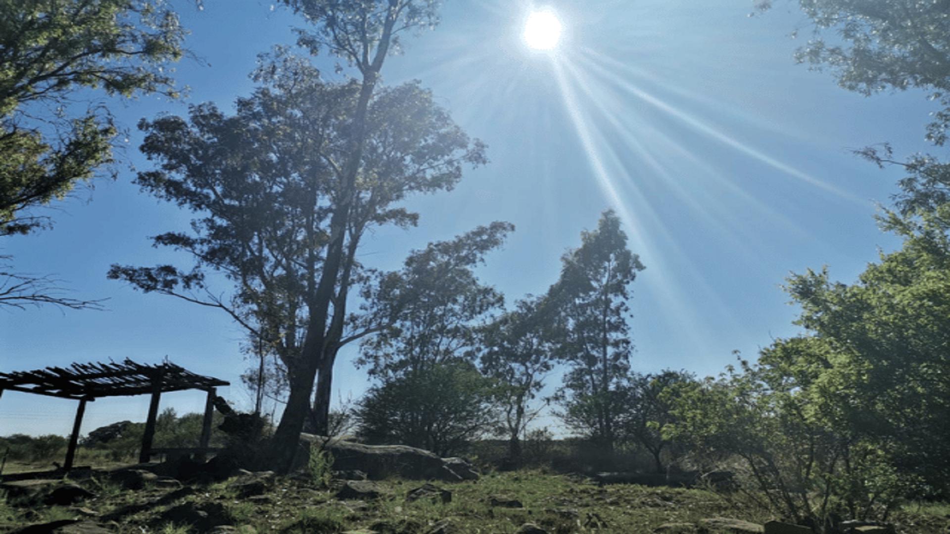 Spaces of property in Koppies