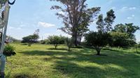 Backyard of property in Koppies