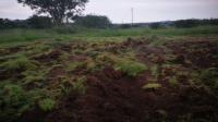 Backyard of property in Koppies