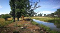 Backyard of property in Koppies