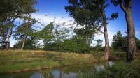 Backyard of property in Koppies