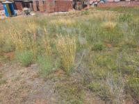  of property in Pentagon Park 