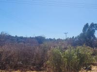  of property in Randjesfontein