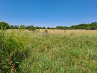 Front View of property in Estoire