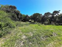  of property in Port Alfred