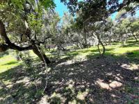  of property in Port Alfred