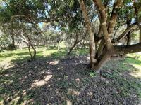  of property in Port Alfred