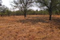 Smallholding for Sale for sale in Kameeldrift