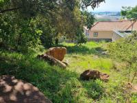  of property in Cashan