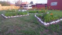 Garden of property in Steynsburg