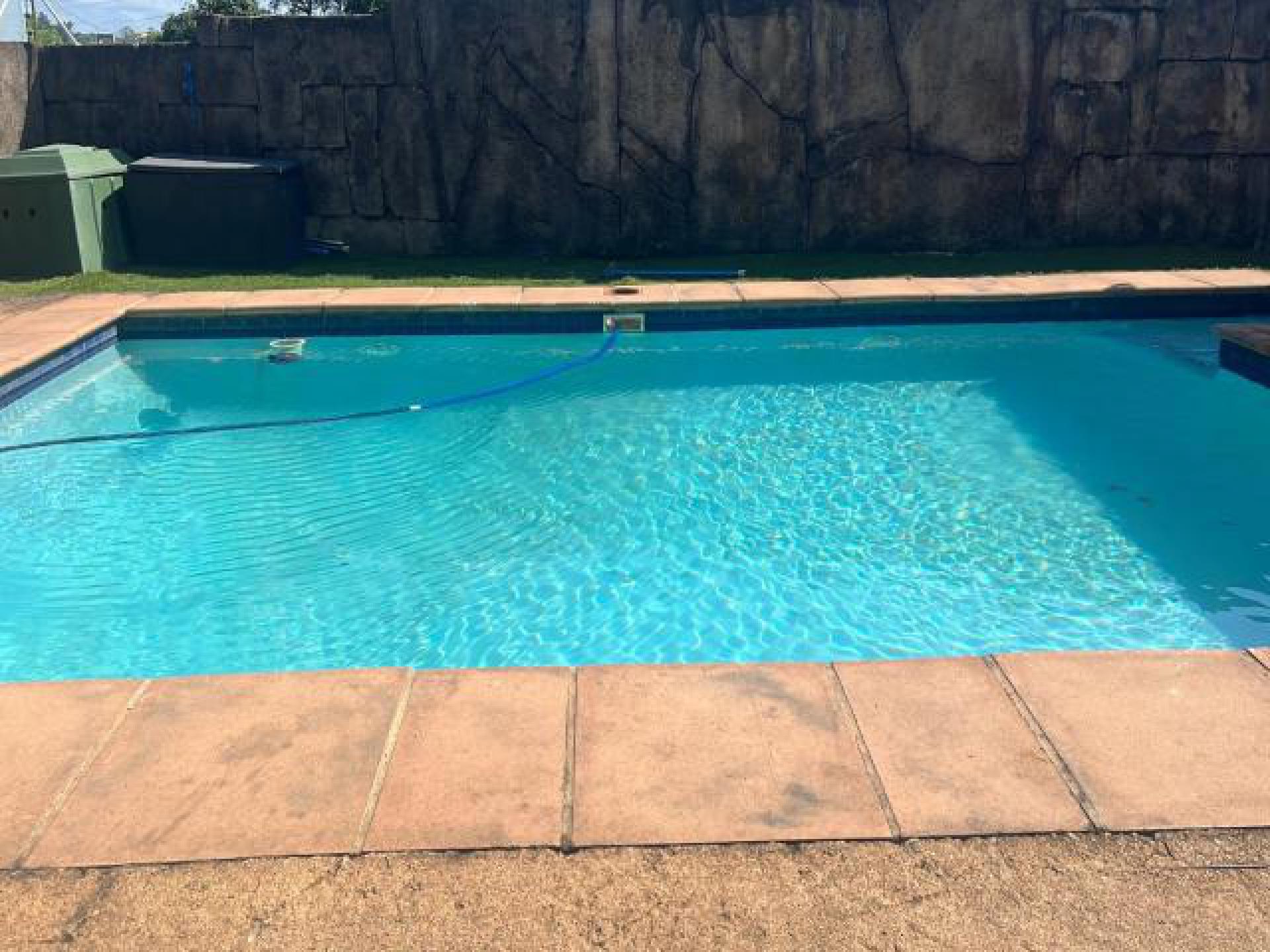 Backyard of property in Clayfield