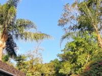  of property in Faerie Glen