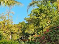  of property in Faerie Glen