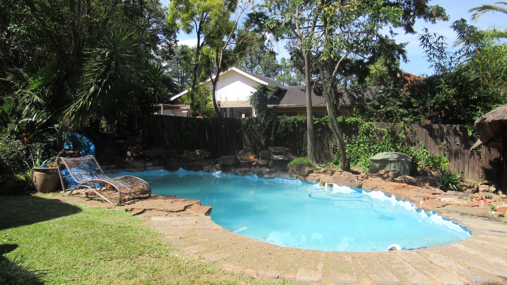 Backyard of property in Buccleuch