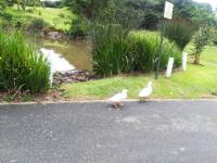  of property in Pennington