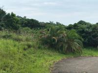  of property in Bazley Beach