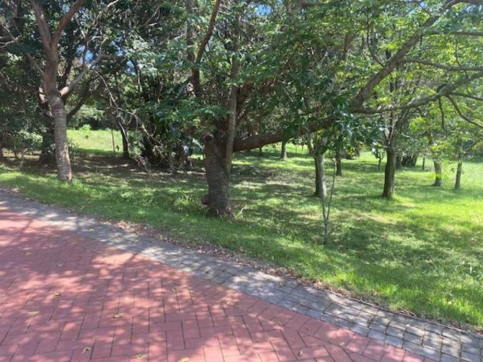 Land for Sale For Sale in Pennington - MR563799