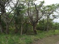 Land for Sale for sale in Bazley Beach