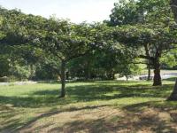 Land for Sale for sale in Pennington