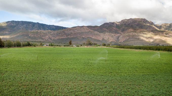 Farm for Sale For Sale in Montagu - MR564273