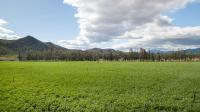  of property in Montagu